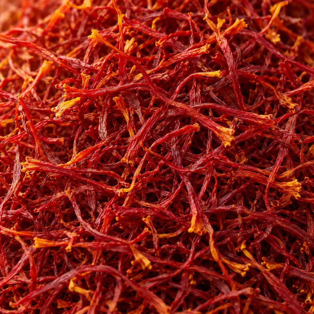 Close-up of dried saffron threads, deep crimson with orange-gold tips